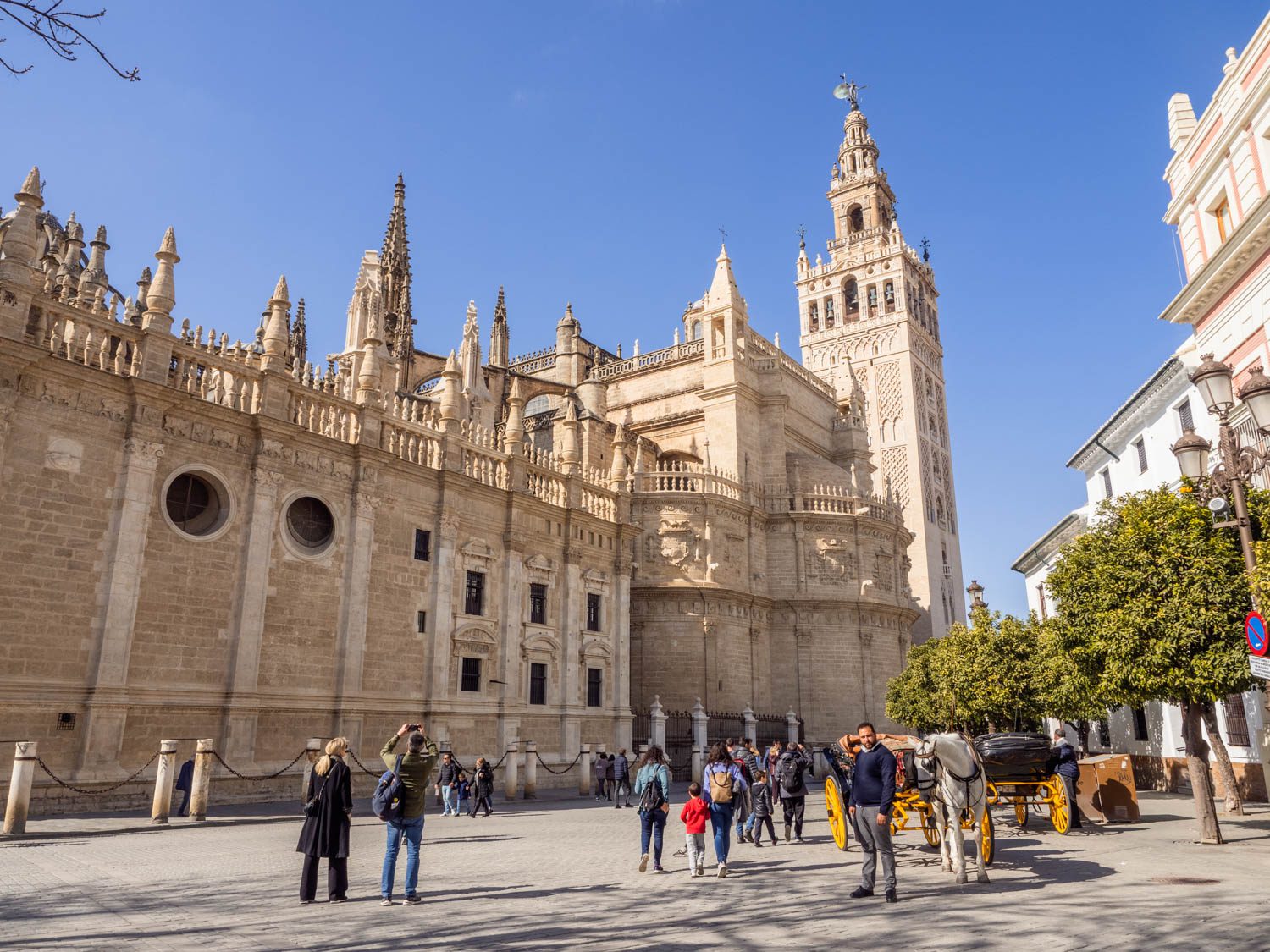 Fietsen in Sevilla - kathedraal en giralda