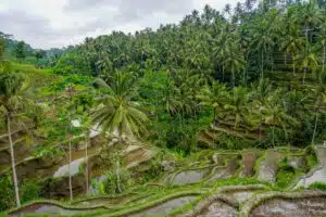 Bali - de mooiste bezienswaardigheden en de beste tips