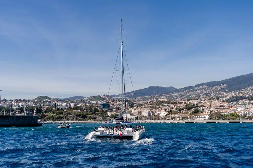 Catamaran tour in Funchal