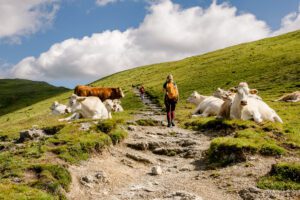 Oostenrijk - de mooiste bestemmingen en de beste tips