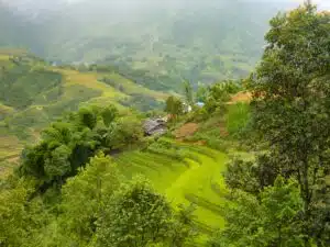Vietnam - de mooiste bestemmingen en de beste tips