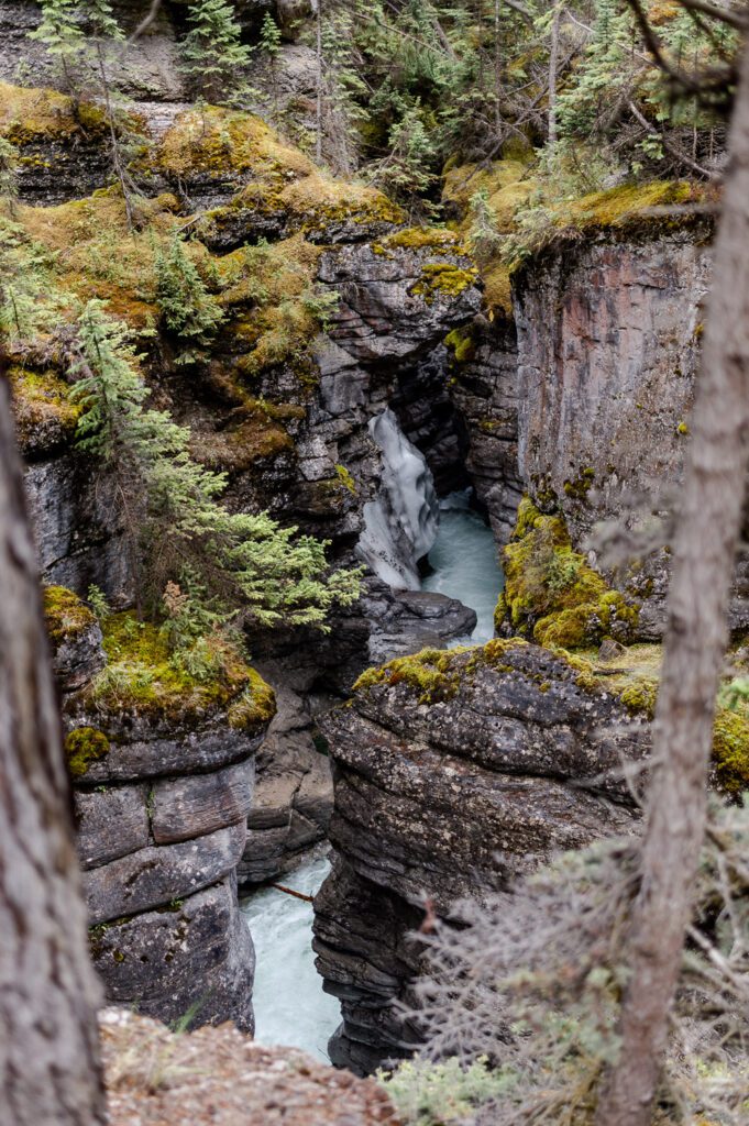 Maligne Canyon