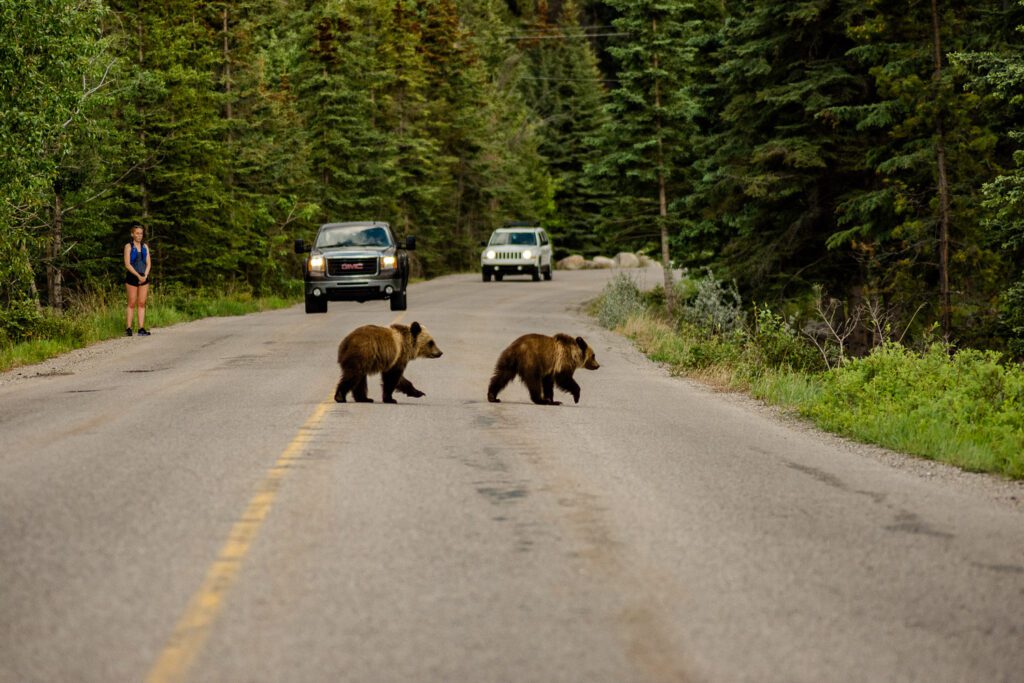 Jasper Motorcycle Tours