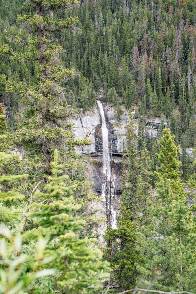 Big Bend Viewpoint Icefields Parkway