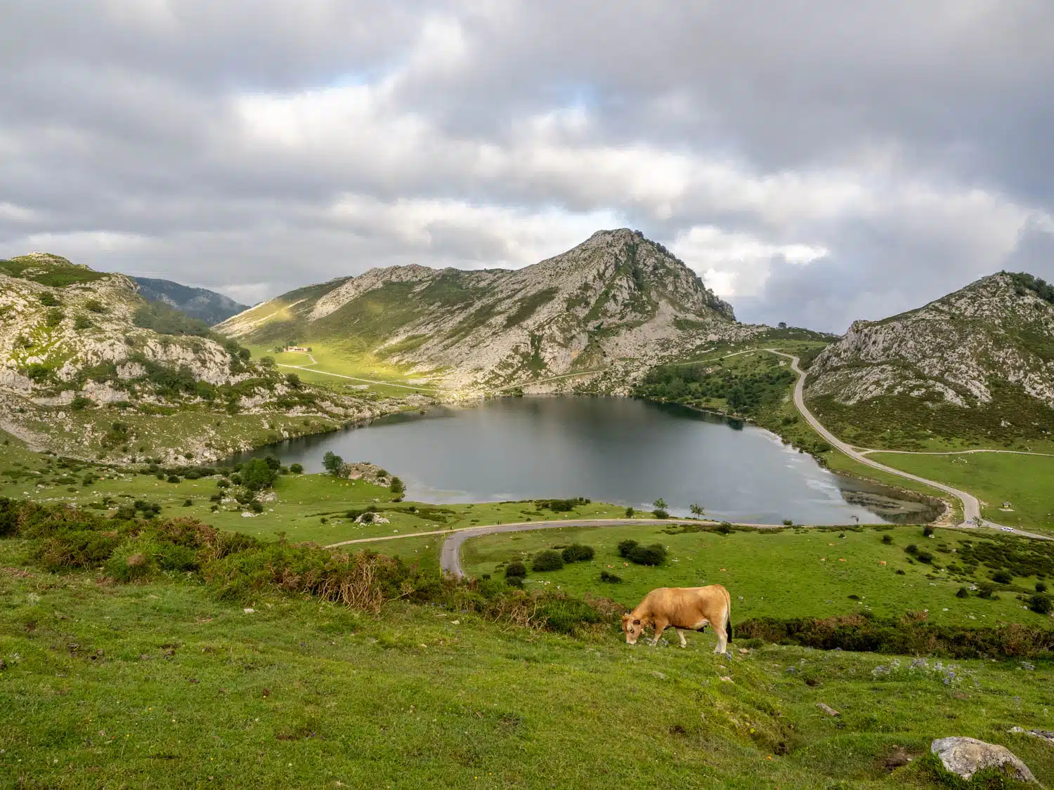 Lagos de Covadonga - Mirador de Entrelagos