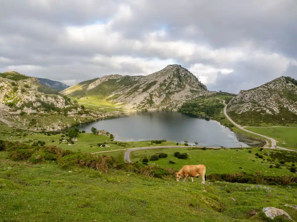 Lagos de Covadonga - Tips voor de mooiste meren van Picos de Europa