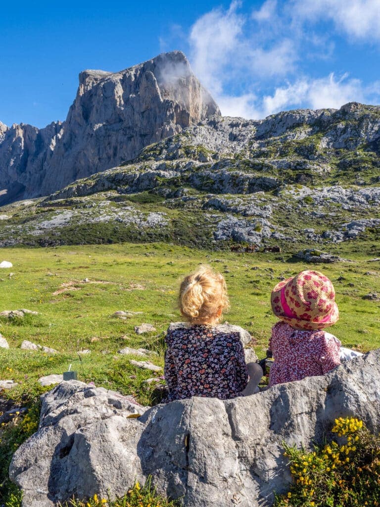 Picos de Europa