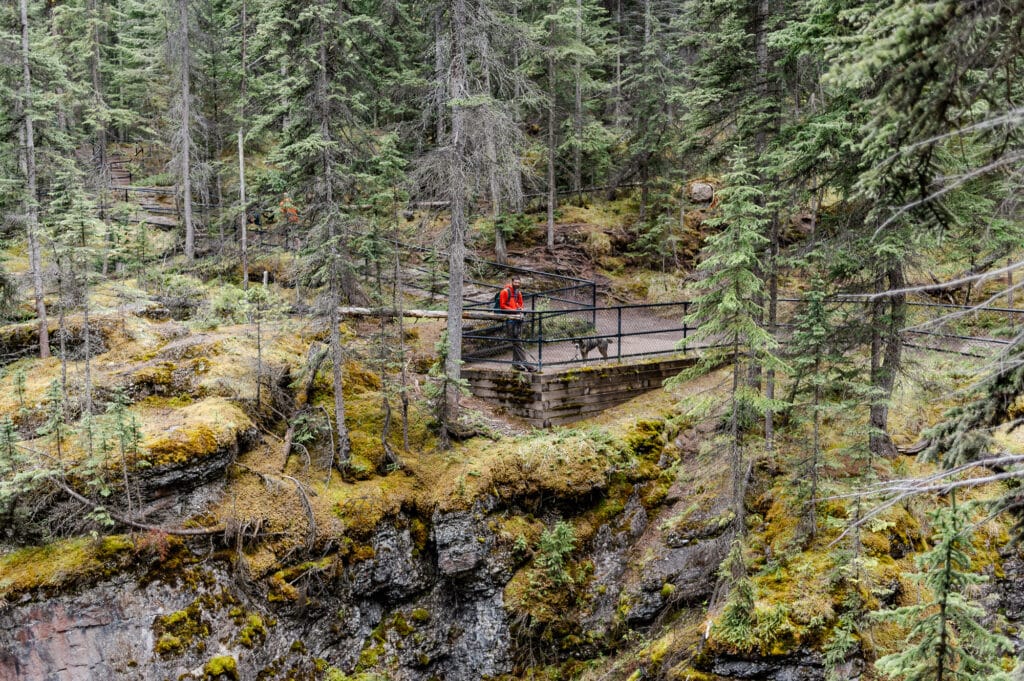 Maligne Canyon