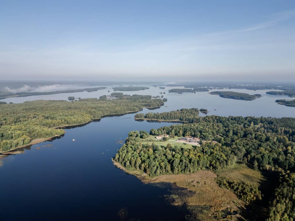 Asnen in Zweden