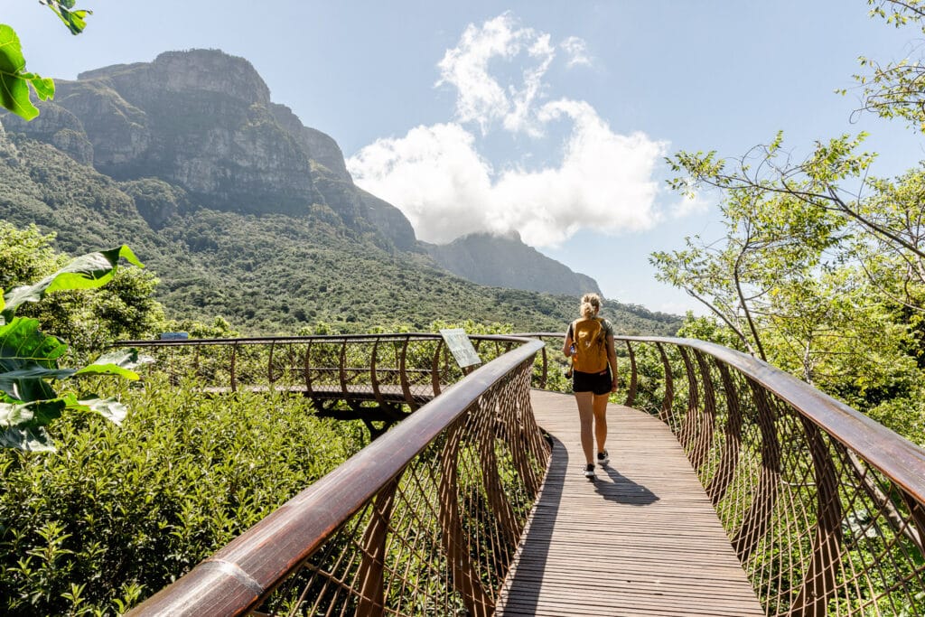 Kirstenbosch