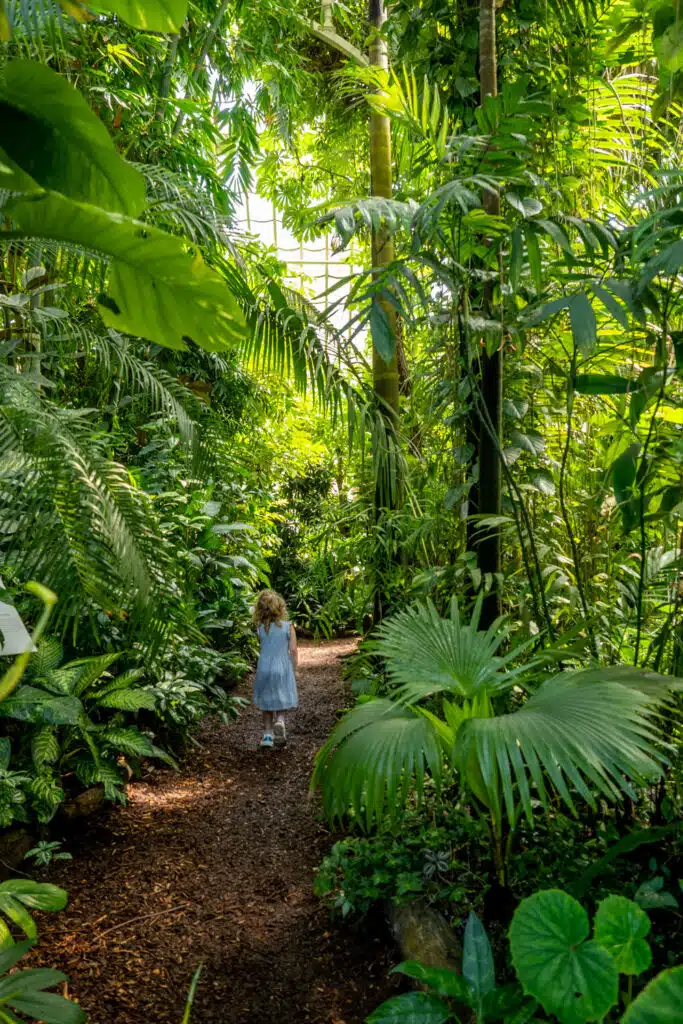 Doen in Wenen - Palmenhaus