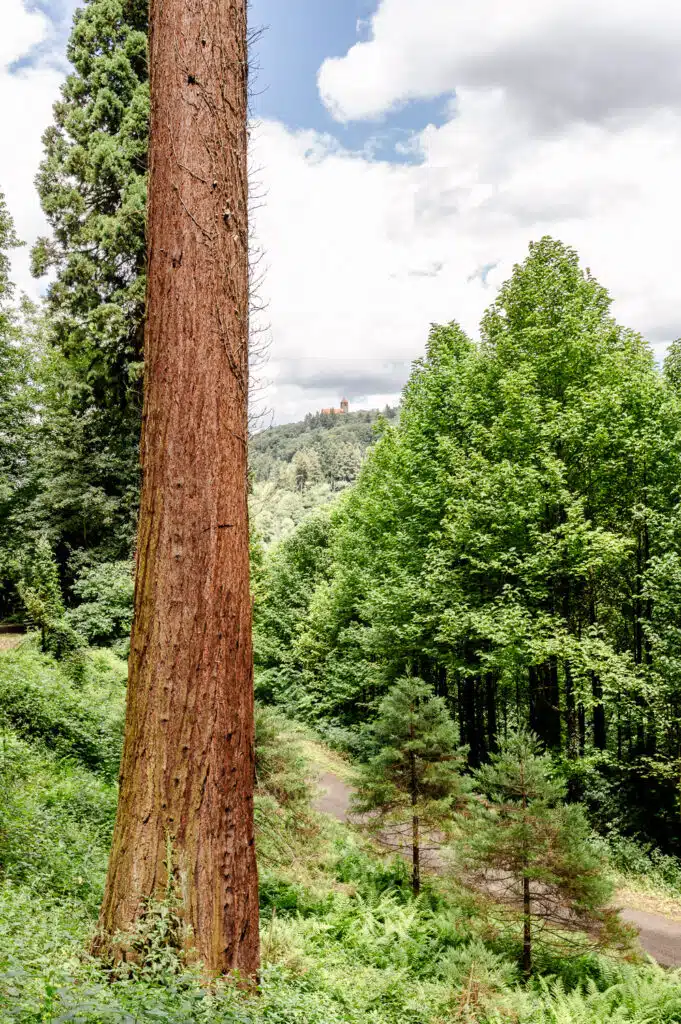 Exotenwald Weinheim