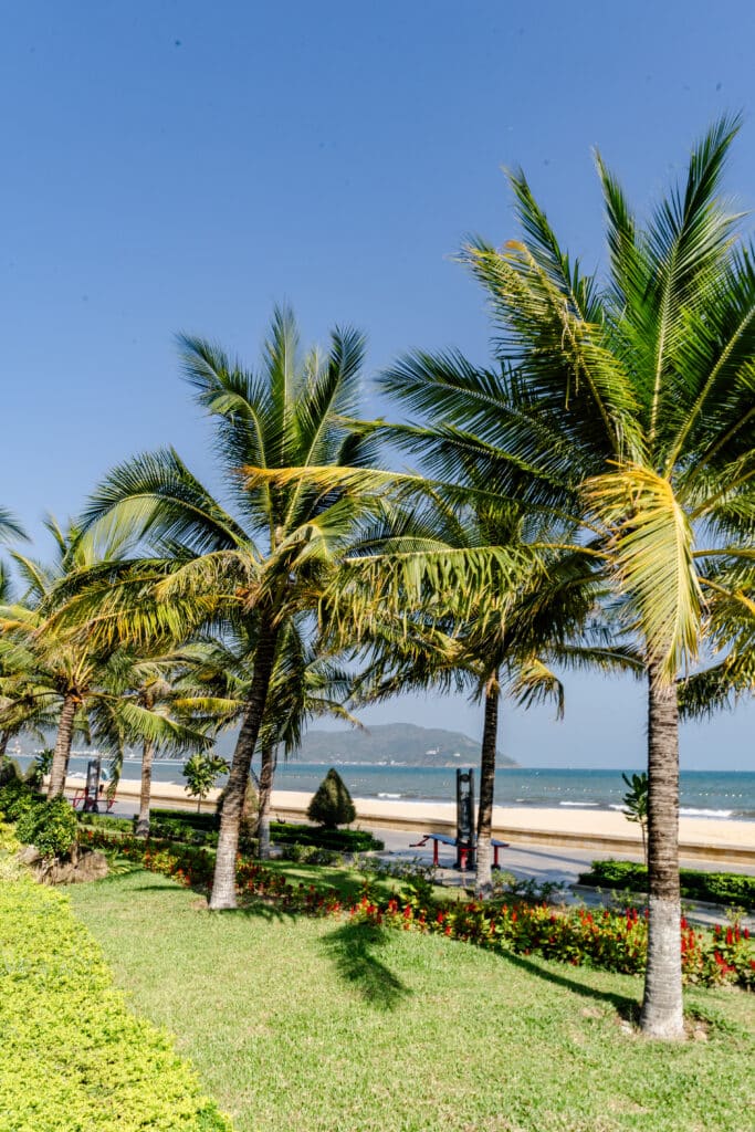 Strand in Quy Nhon