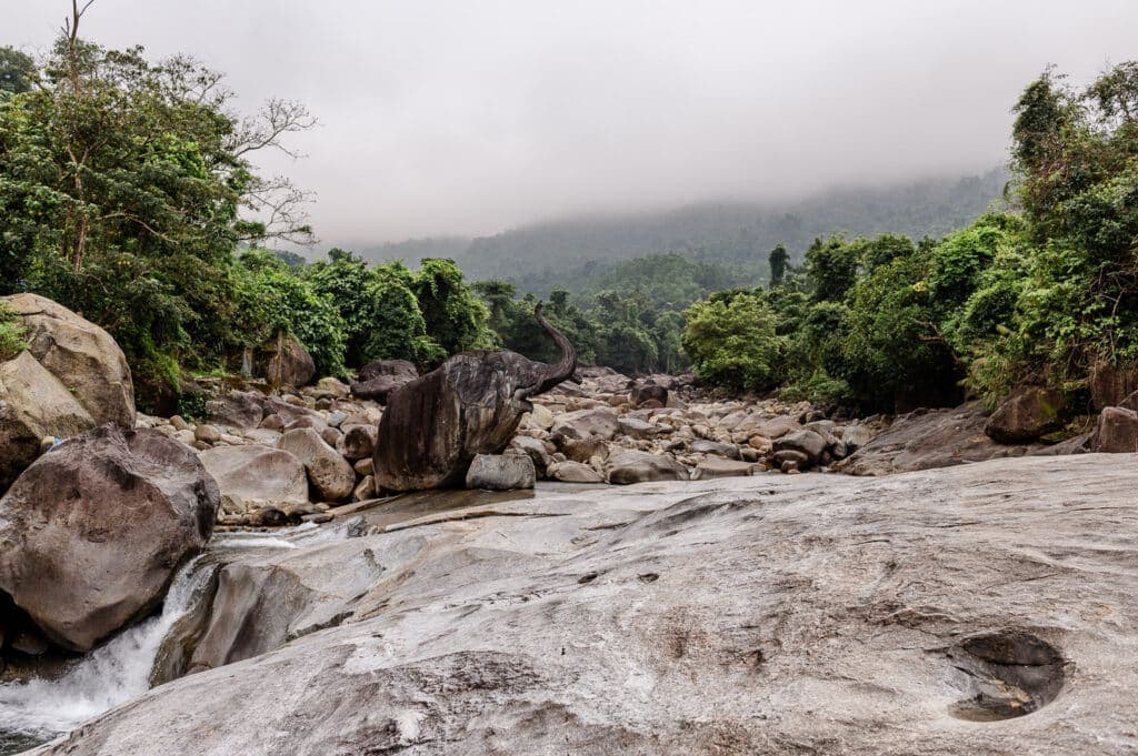 Elephant Stream