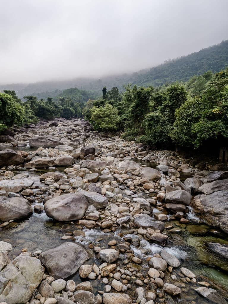 Elephant Stream