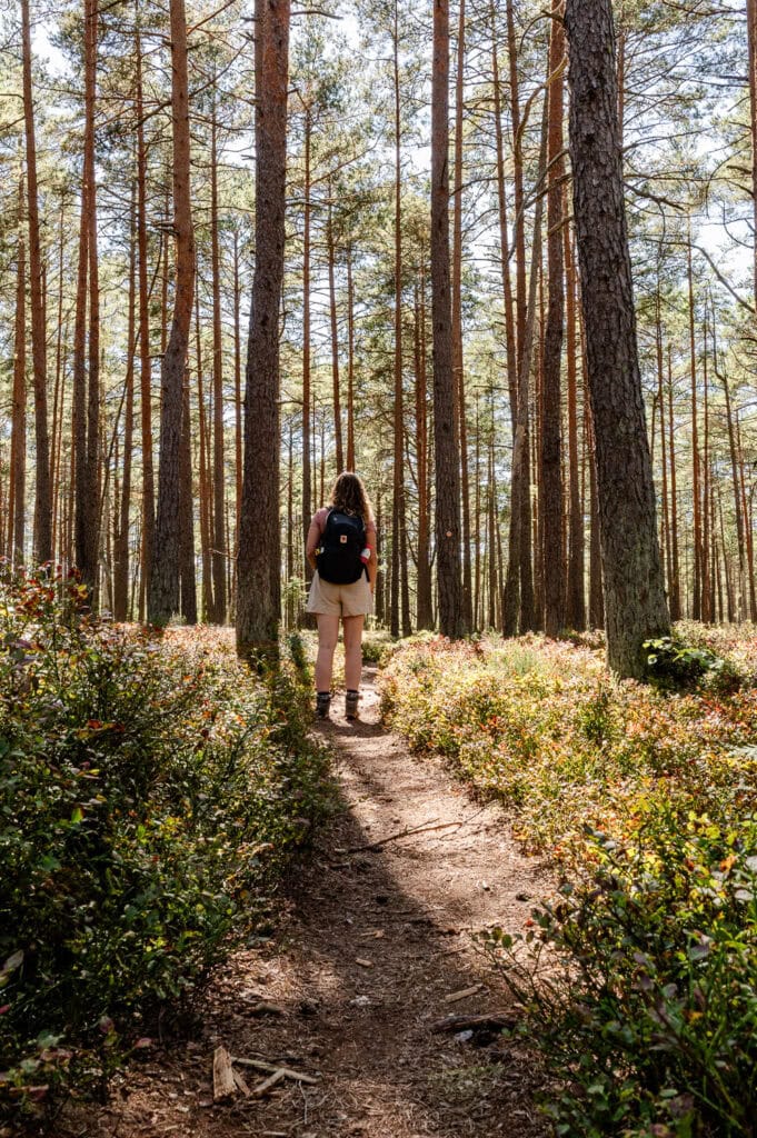 Zuid-Zweden - vakantie 2026
