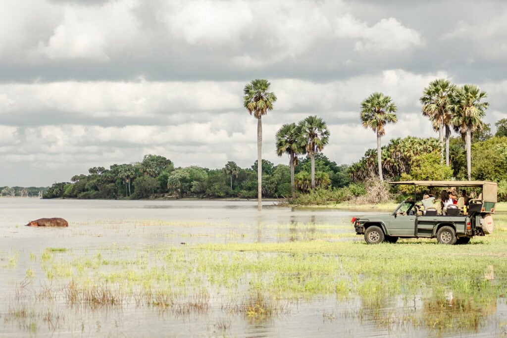 Safari in Tanzania