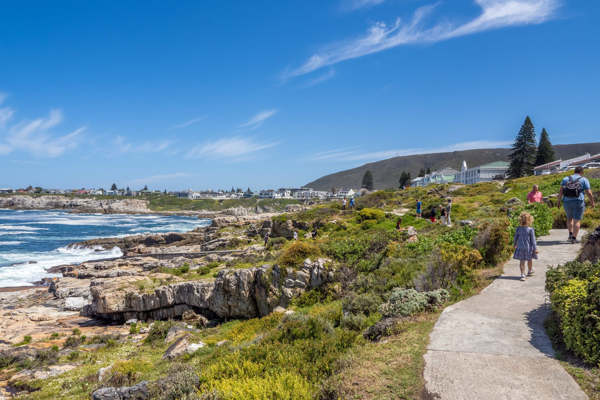 Doen in Hermanus - Cliff Path