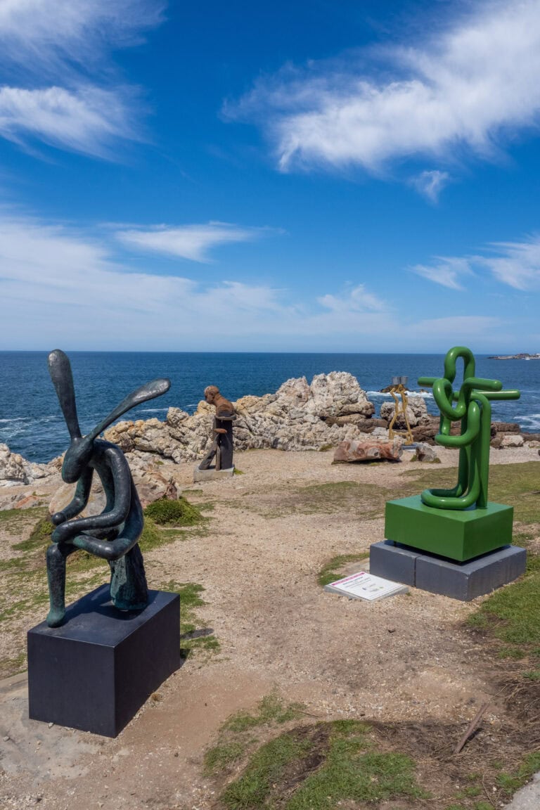 Wat te doen in Hermanus: tips en bezienswaardigheden