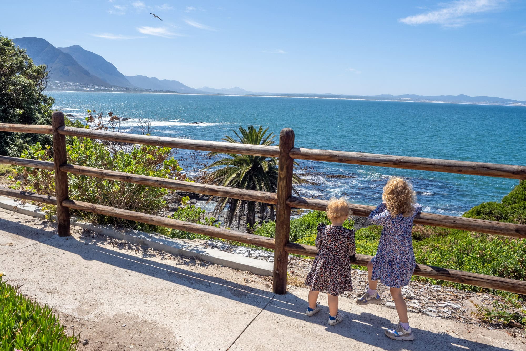 Hermanus Rounabout Wat te doen in Hermanus: tips en bezienswaardigheden