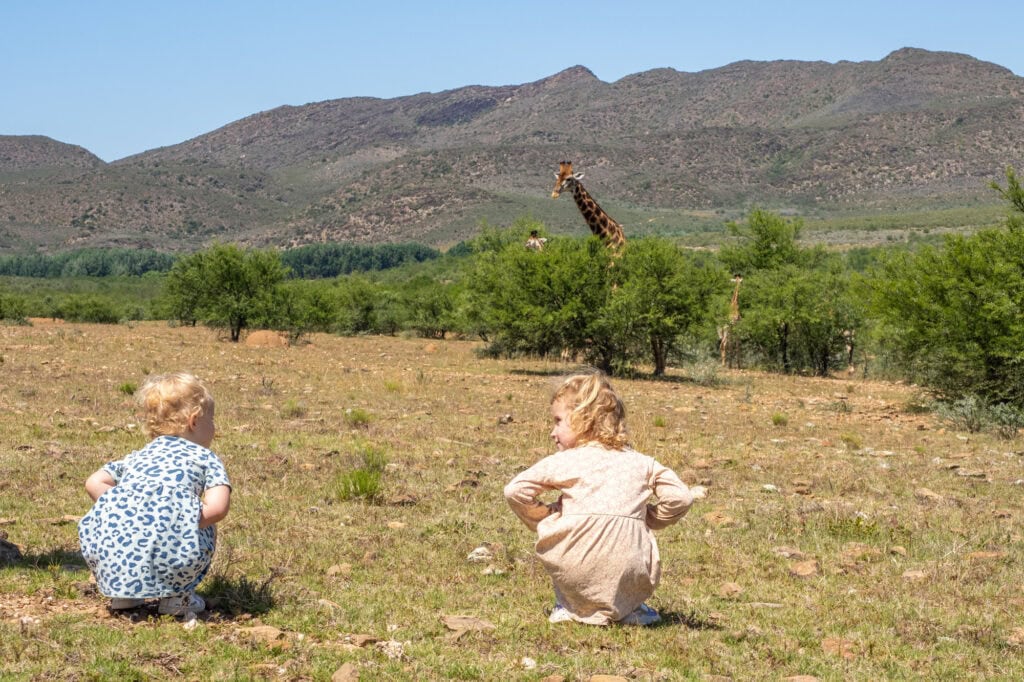 Swartberg Private Game Reserve in Zuid-Afrika