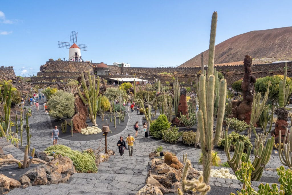 Doen op Lanzarote - Jardín de Cactus