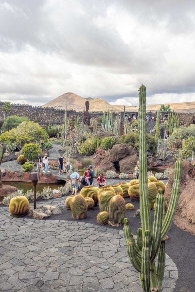 Doen op Lanzarote - Jardín de Cactus