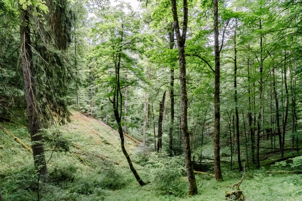 Wandelen in de Donau regio in Duitsland