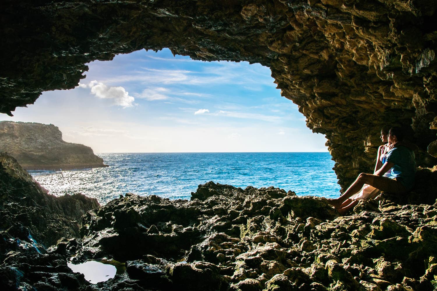 Animal Flower Cave - Romance