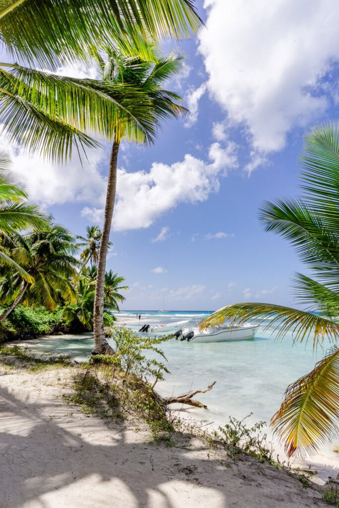 Winterzon Dominicaanse Republiek