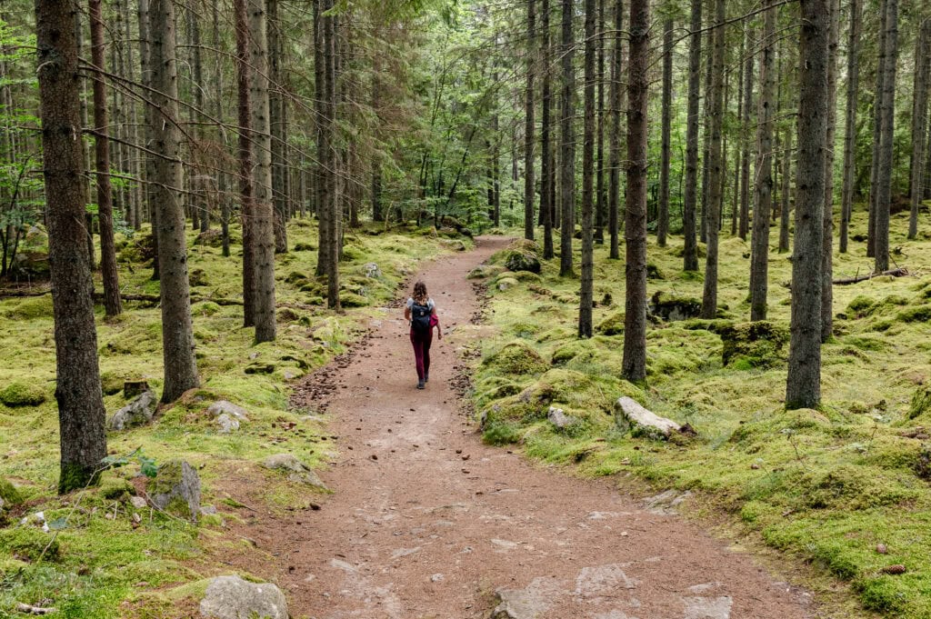 Wandelroutes in Asnen Nationaal Park