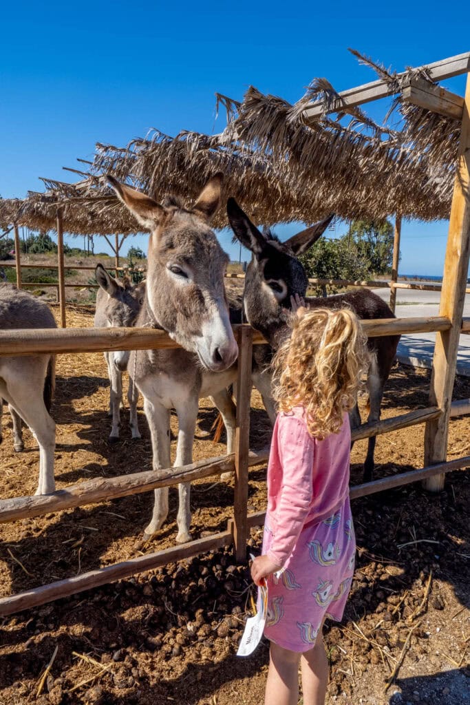 Doen op Kos - Honing Melissa