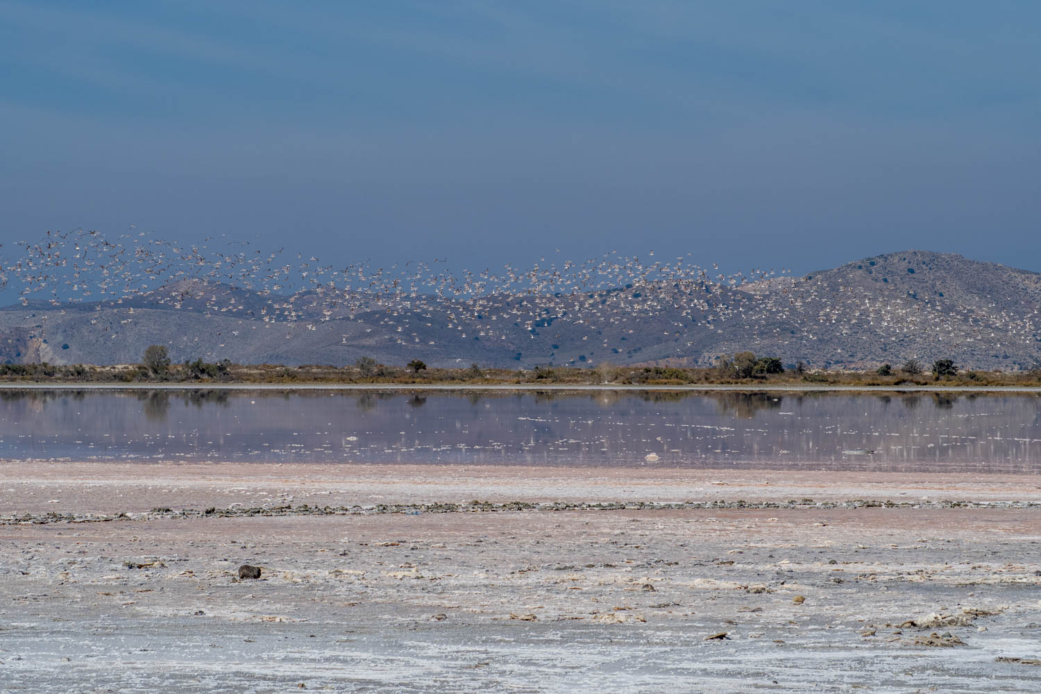 Doen op Kos - Tigaki Lake - Alikes Salt Lake