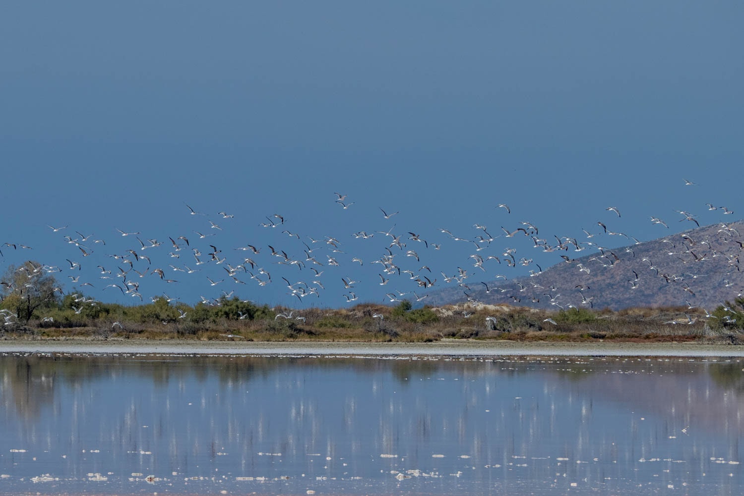 Doen op Kos - Tigaki Lake - Alikes Salt Lake