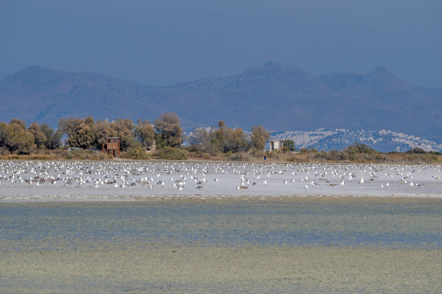 Doen op Kos - Tigaki Lake - Alikes Salt Lake