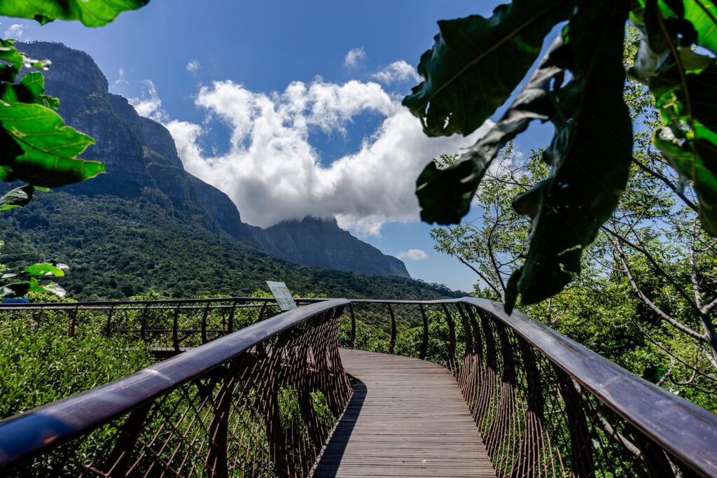 Kirstenbosch Botanical Garden in Kaapstad