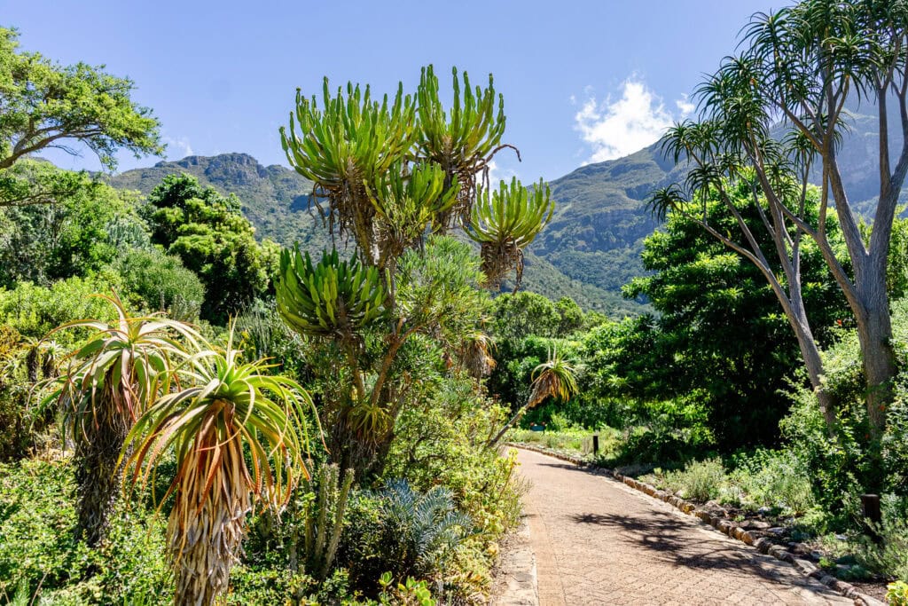 Wat te doen in Kaapstad