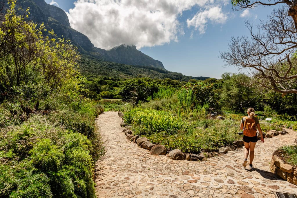 Wat te doen in Kaapstad