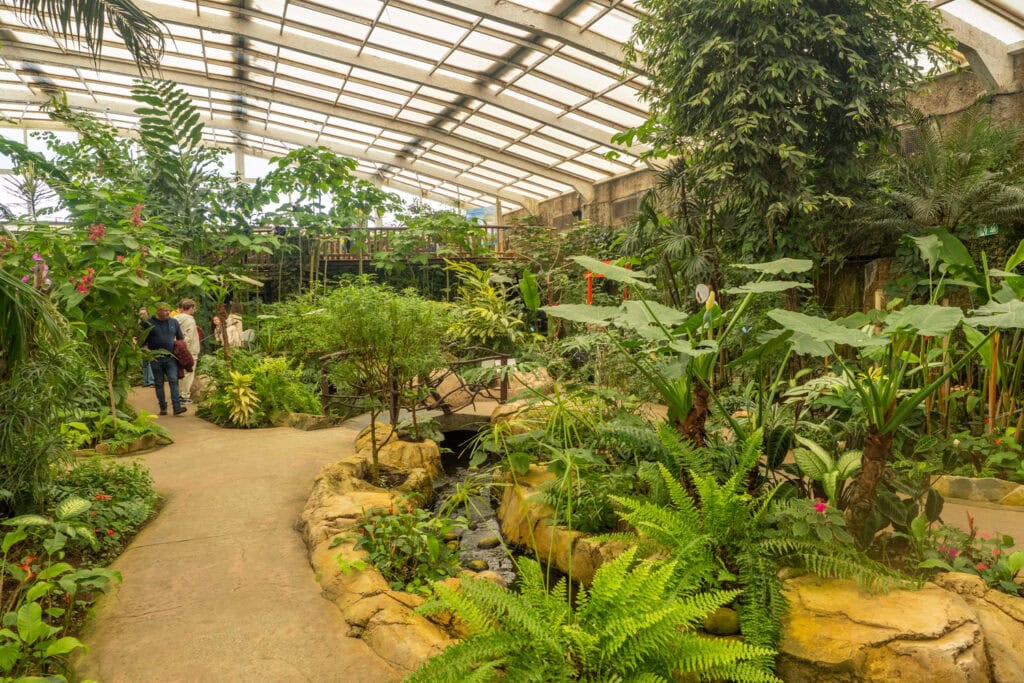 Doen in Benalmádena - Monowa - Butterfly Park Mariposario in Benalmádena