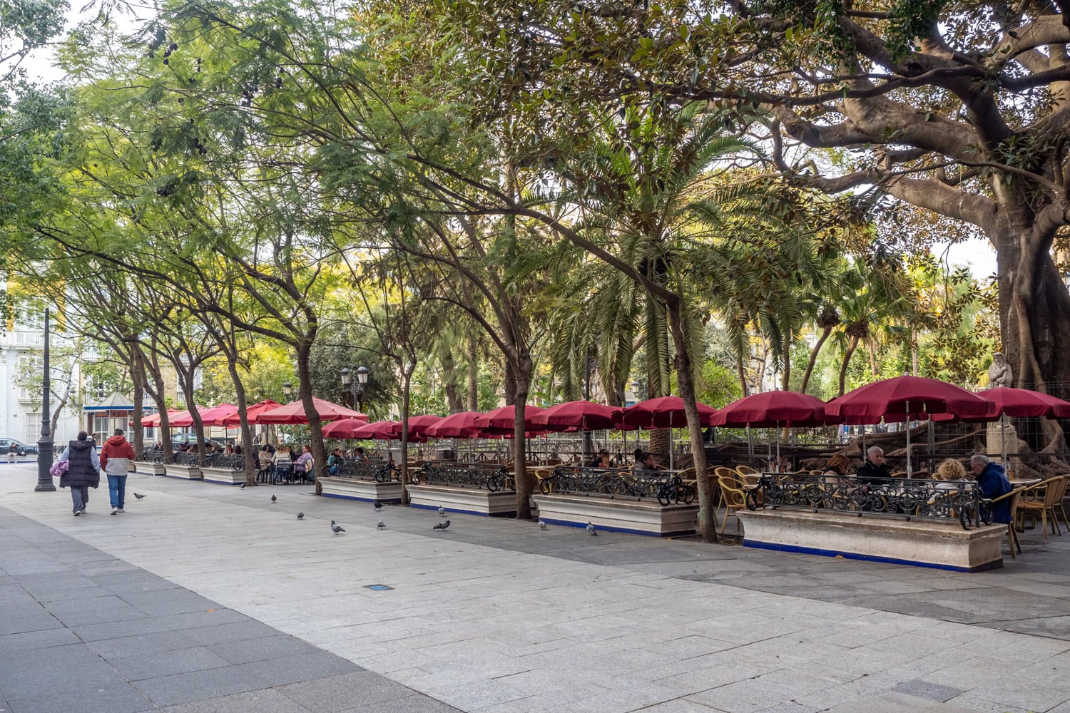 Doen in Cádiz - Plaza de Mina
