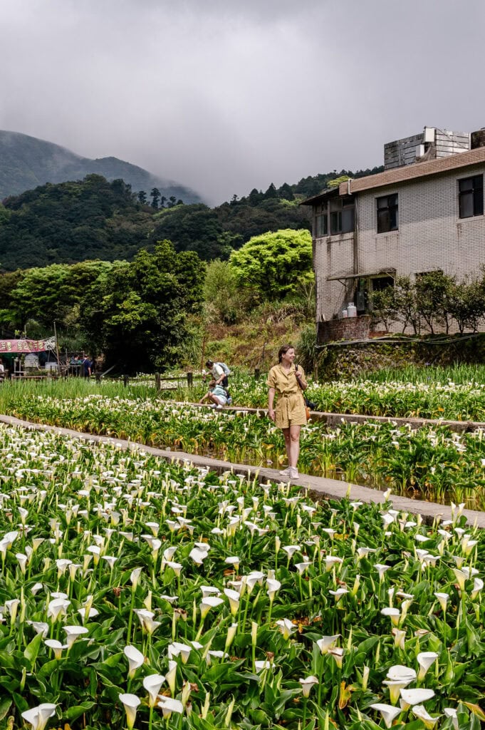 Yangminshan National Park