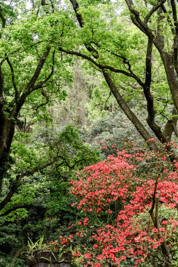Yangminshan National Park