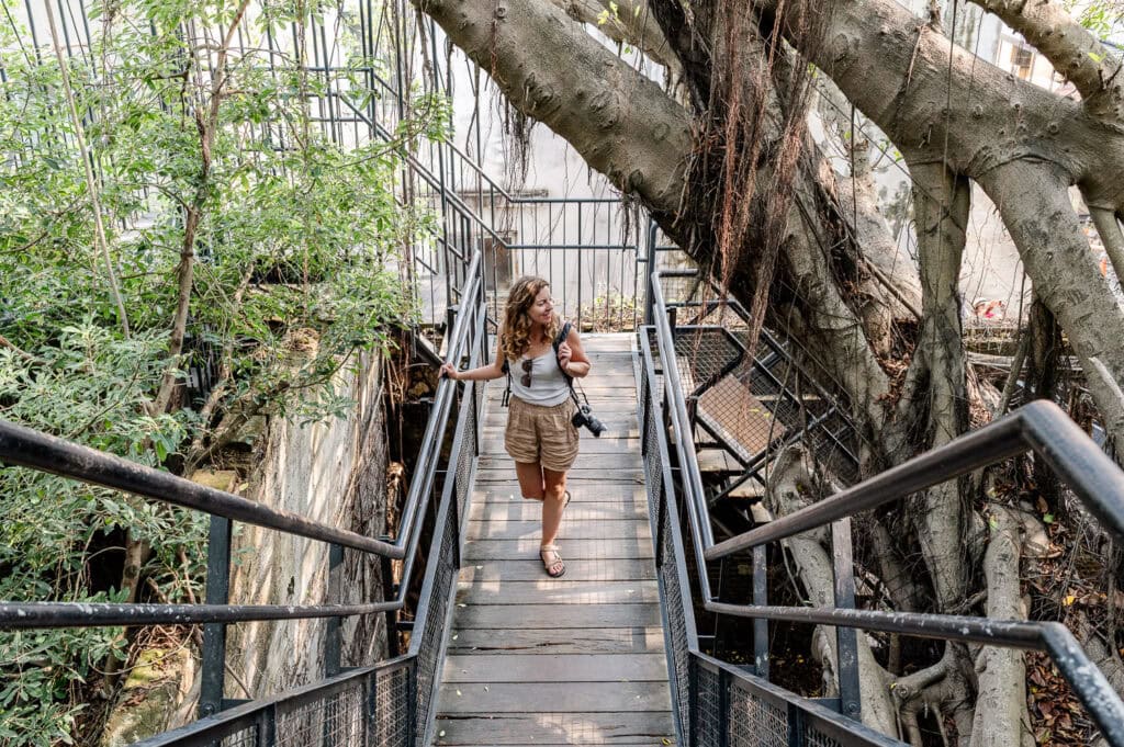 Anping Tree House in Tainan