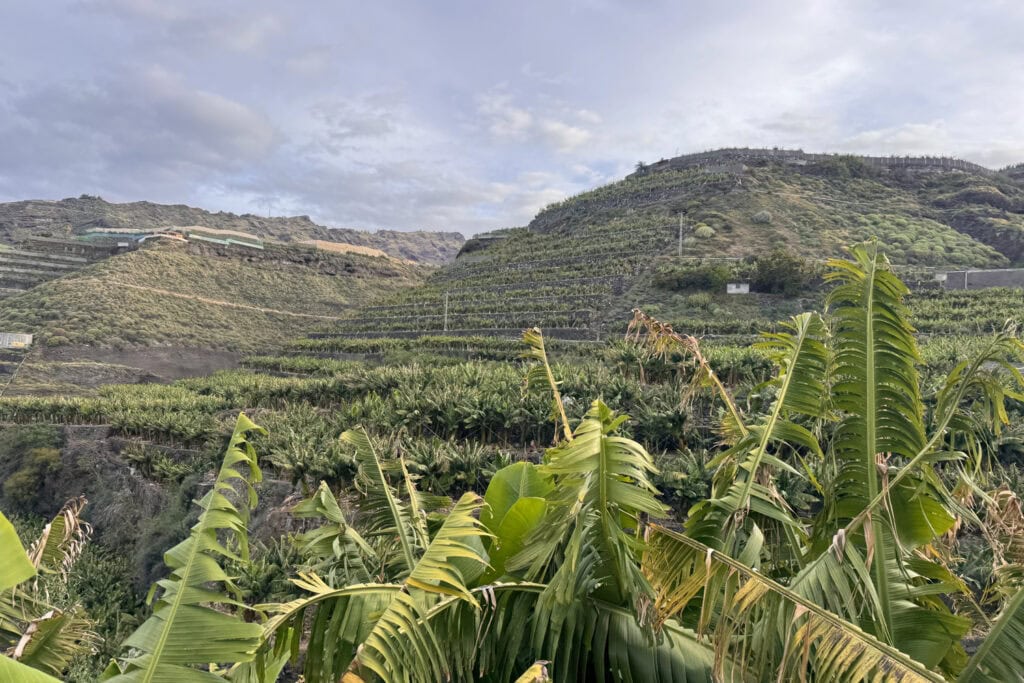 Mooiste Canarische Eilanden - La Palma