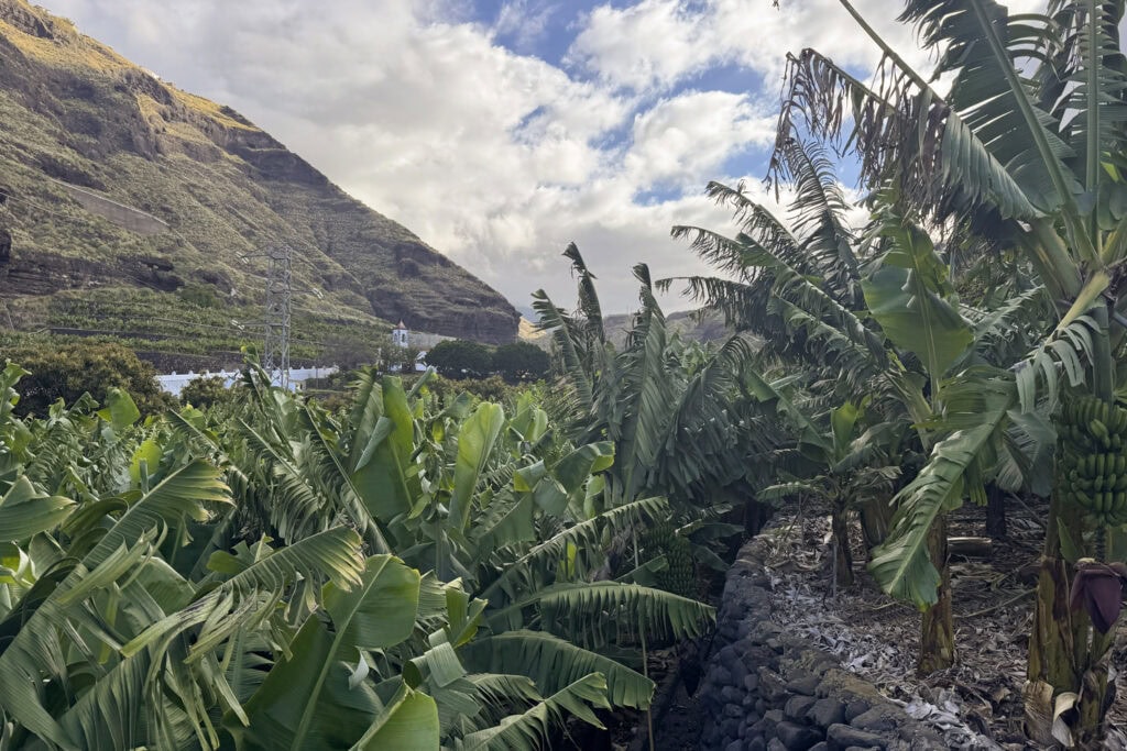 Mooiste Canarische Eilanden - La Palma