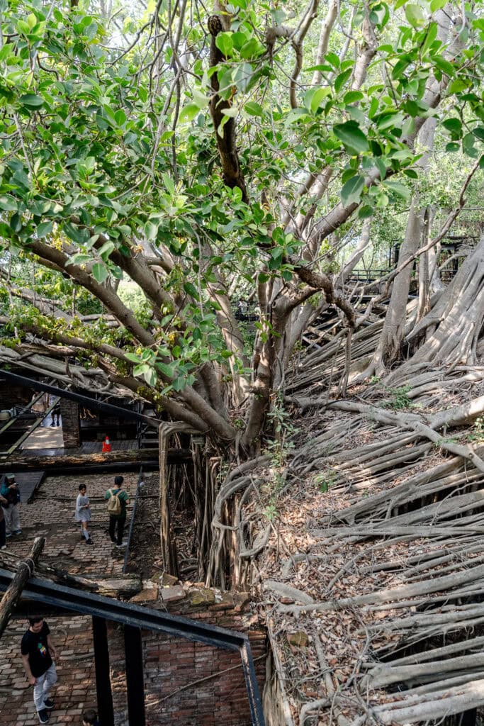 Anping Tree House in Tainan