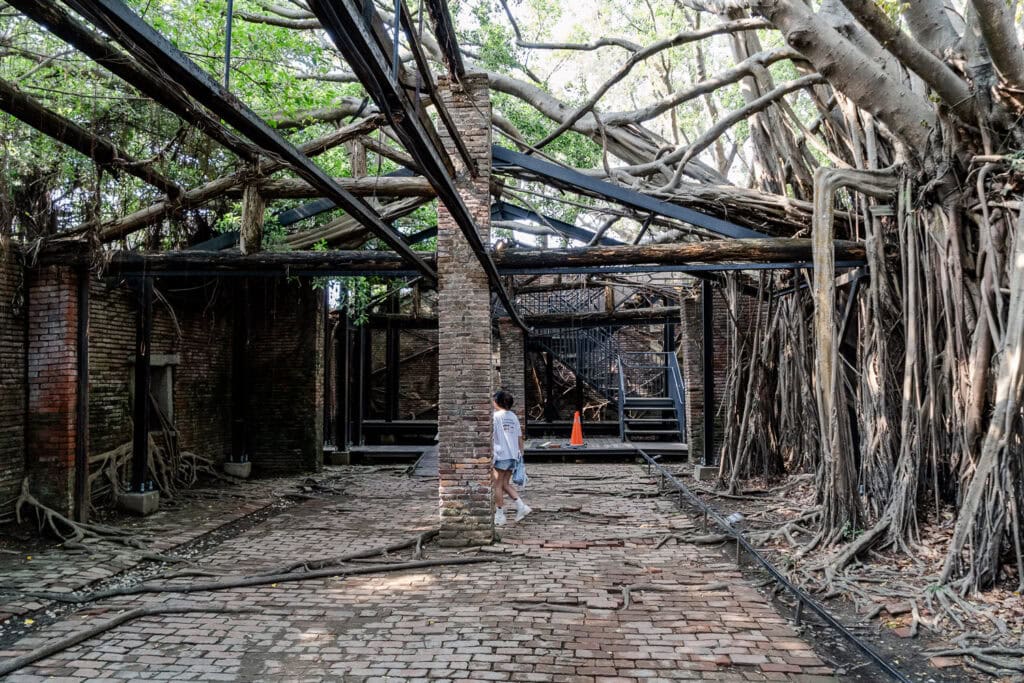 Anping Tree House in Tainan