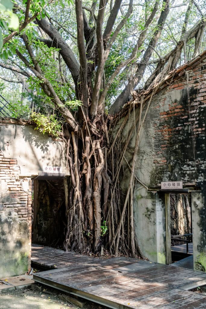 Anping Tree House in Tainan