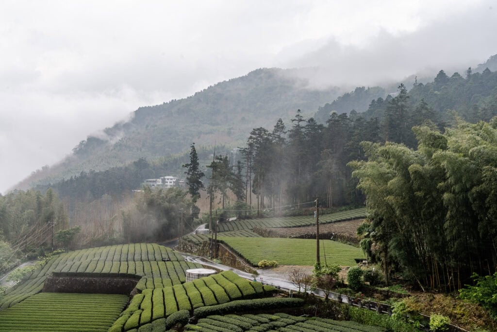 Rondreis Taiwan in 3 weken - Alishan