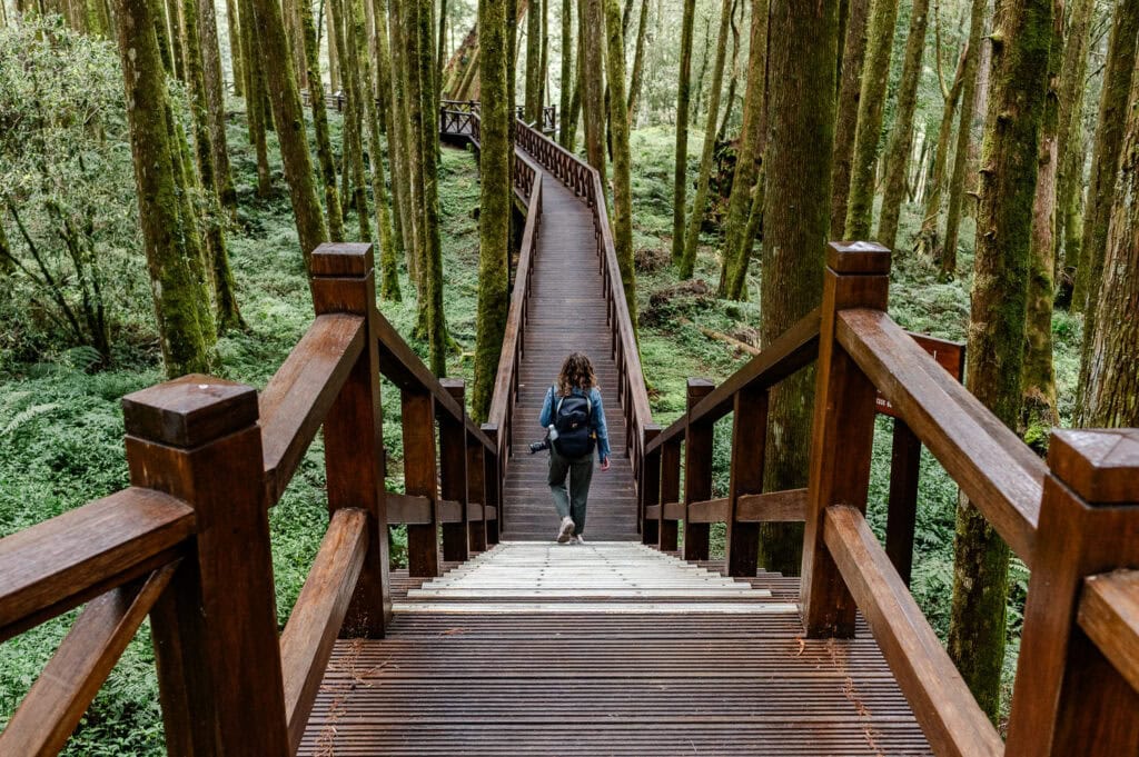 Rondreis Taiwan in 3 weken - Alishan